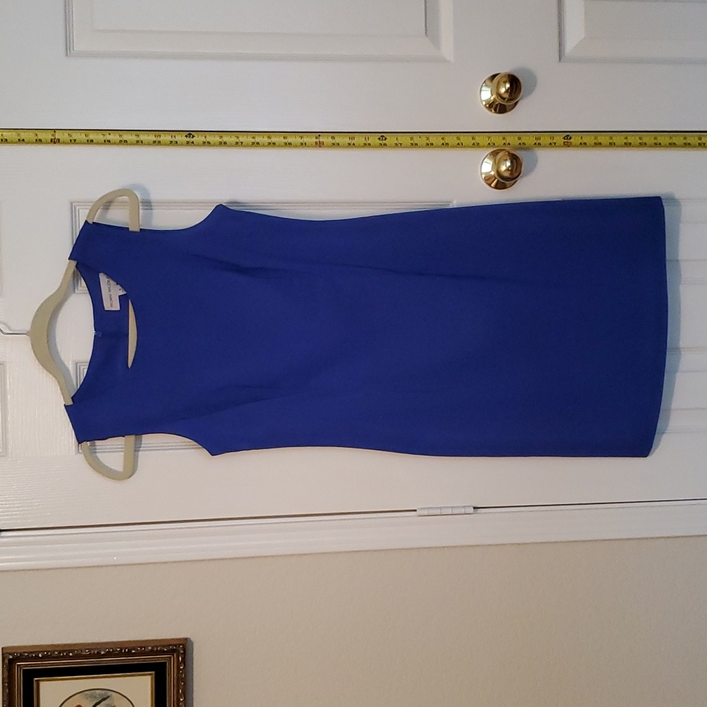 Ronnie Nicole dress